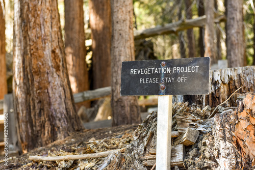 Revegetation Project sign in Sequoia National Park, California