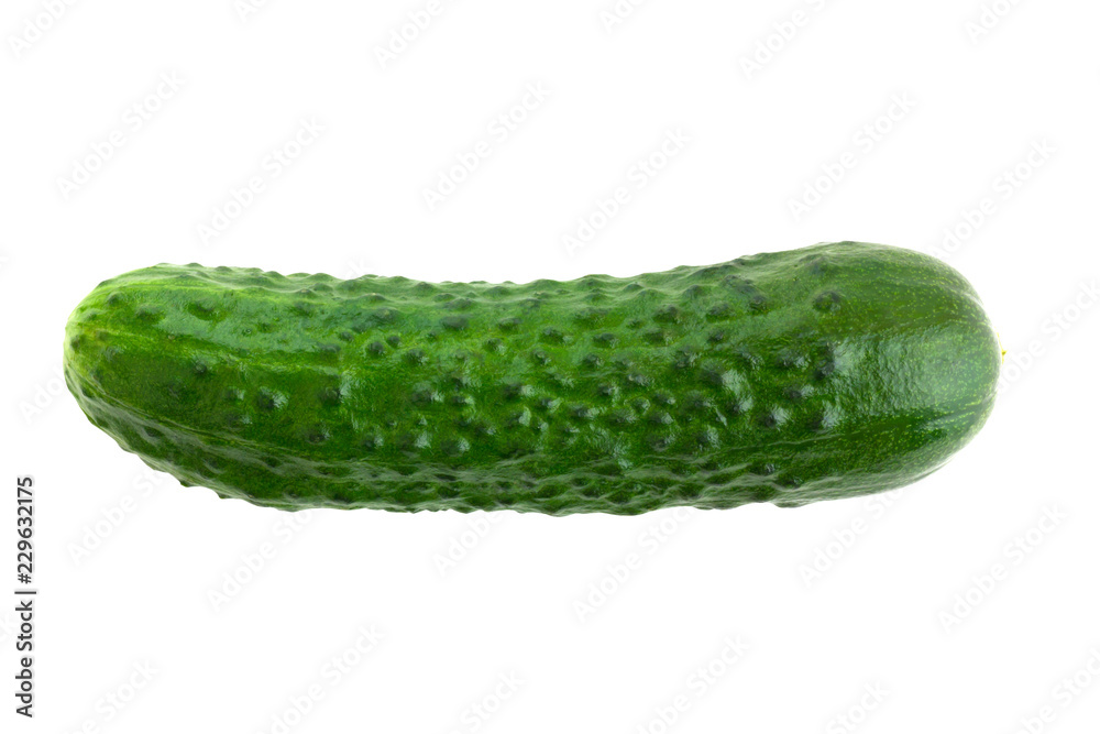 Fresh green cucumber on a white background. One cucumber closeup isolated on white background. Fresh green cucumber on a white background. One cucumber closeup isolated on white background.