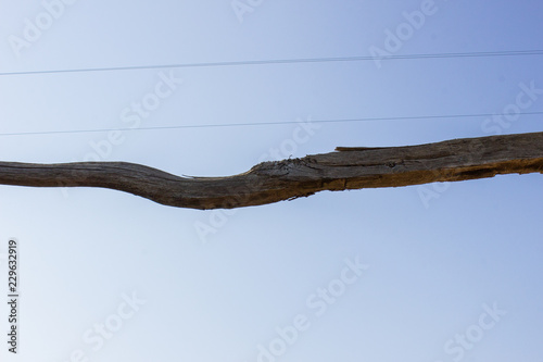 rafter isolated on blu background