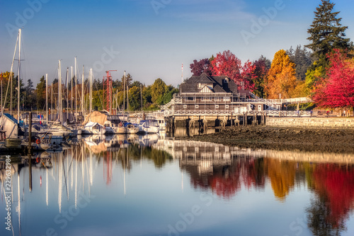 Colorful Autumn Foliage at Stanley Park © Andy Konieczny