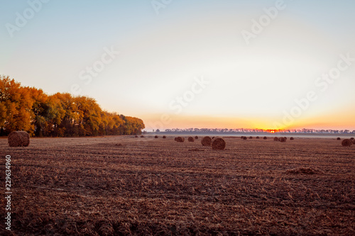 View of autumn field with haystacks at sunset. Ukrainian landscape
