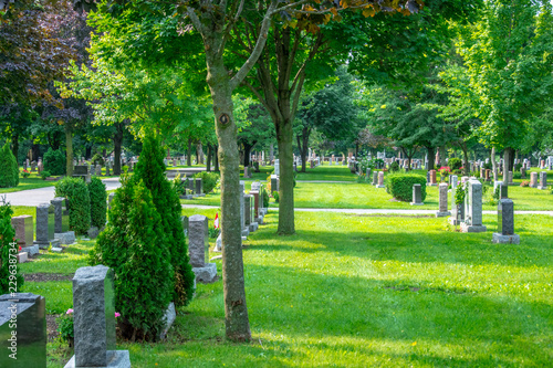 Schilderij op canvas A beautiful graveyard marked with rows of headstones and lined with trees, flowers and walking paths, providing a peaceful setting for visitors to visit departed beloved friends and family members