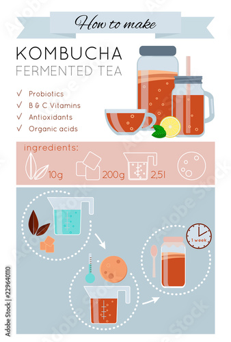 Kombucha fermented probiotic tea recipe vector infographic. How to make wonder drink Kombucha tea. Kombucha tea preparation icons. Vector isolated illustration flat style. Mason jar, mug, cup, scoby.