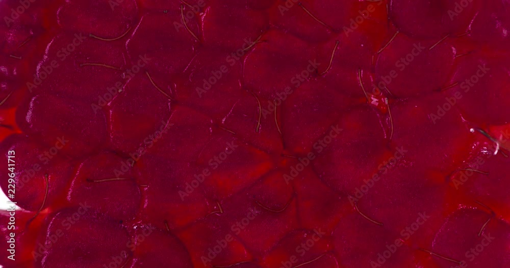 One Juicy Raspberry Crushed. Raspberries are compressed and crushed close-up on a bright white background, creating a juicy burst of pulp and a bright shell. Shooting at 120fps One Juicy Raspberry Crushed. Raspberries are compressed and crushed close-up on a bright white background, creating a juicy burst of pulp and a bright shell. Shooting at 120fps