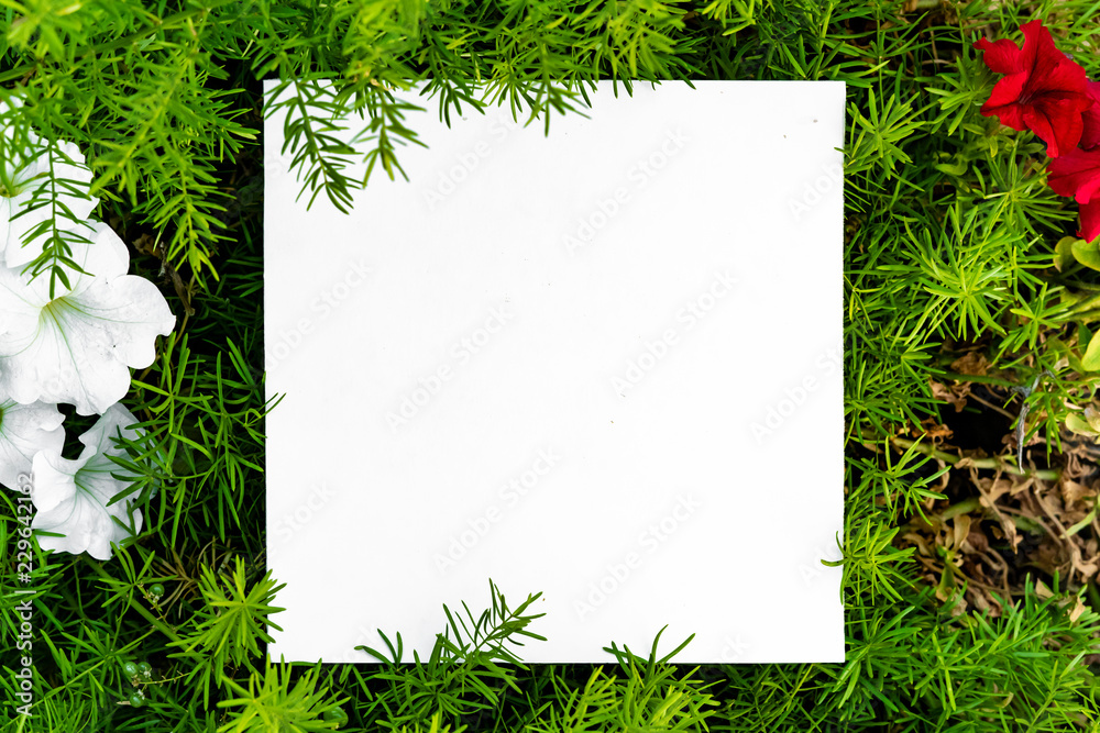 leaves and flowers layout background with white copy space f leaves and flowers layout background with white copy space f