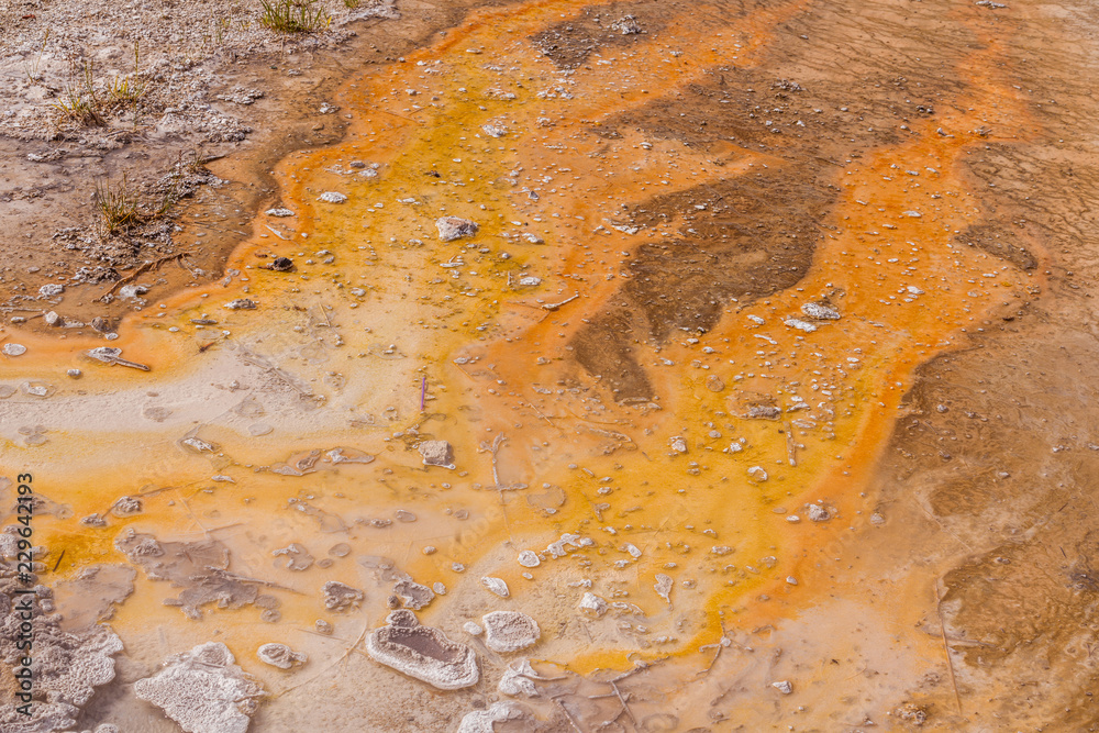 Yellowstone national park landscape. Geothermal activity, hot thermal springs with boiling water and fumes at Yellowstone National Park, USA Yellowstone national park landscape. Geothermal activity, hot thermal springs with boiling water and fumes at Yellowstone National Park, USA