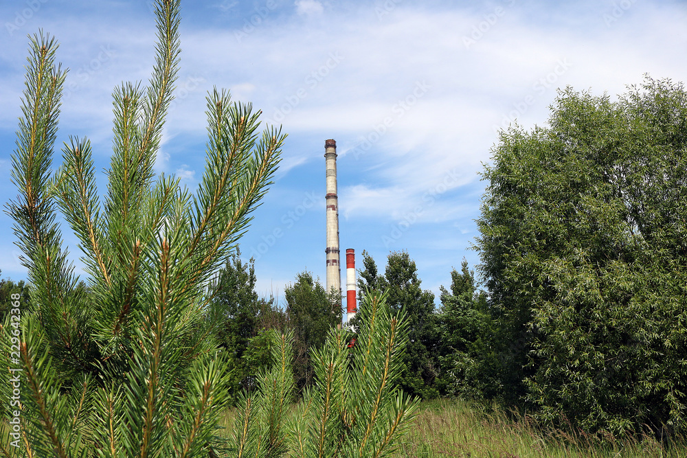 Obraz premium factory pipes and nature 