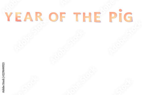 paper cut words year of the pig isolated on white background with soft shadows .vector origami