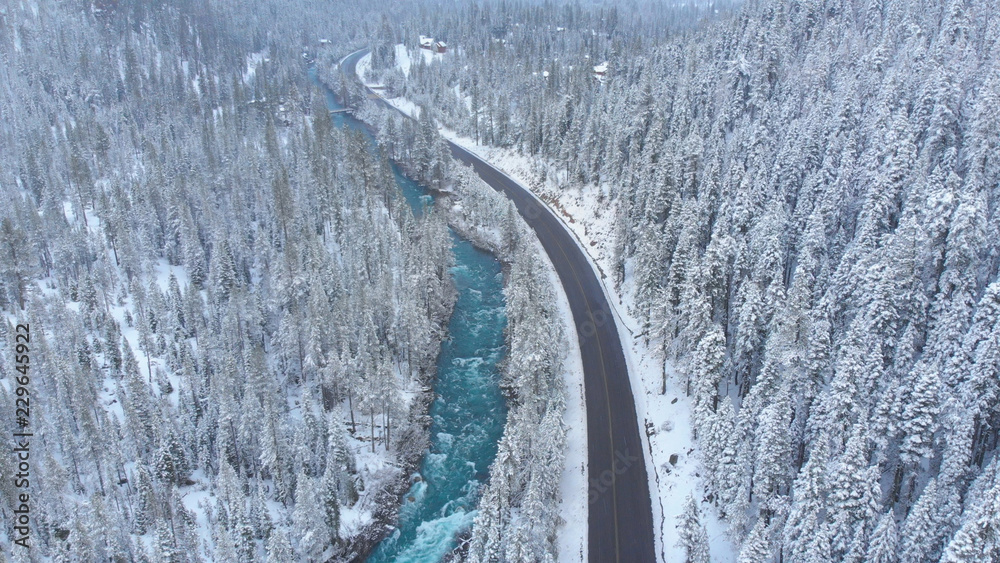 AERIAL: Flying above the picturesque winter forest and emerald colored stream.