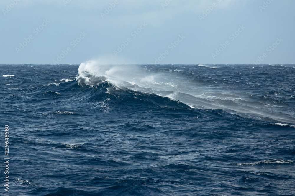 Naklejka premium ocean wave moving against the wind