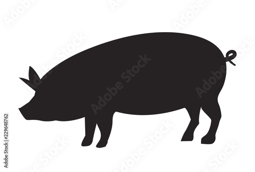 Vector pig silhouette side retro vintage template. Pork animal icon background. Pig farm