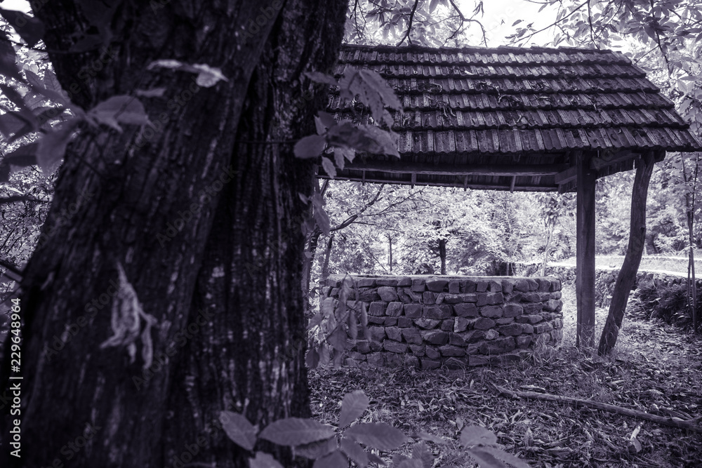 Abandoned well in the forest. Waiting for a terrible girl with a long hair. Halloween concept. Selective focus
