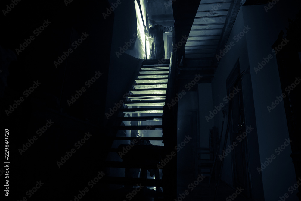 Inside of old creepy abandoned mansion. Staircase and colonnade. Silhouette of horror ghost standing on castle stairs to the basement. Spooky dungeon stone stairs in old castle with light. Inside of old creepy abandoned mansion. Staircase and colonnade. Silhouette of horror ghost standing on castle stairs to the basement. Spooky dungeon stone stairs in old castle with light.