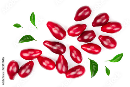 Red berries of cornel or dogwood decorated with leaves isolated on white background. Top view. Flat lay
