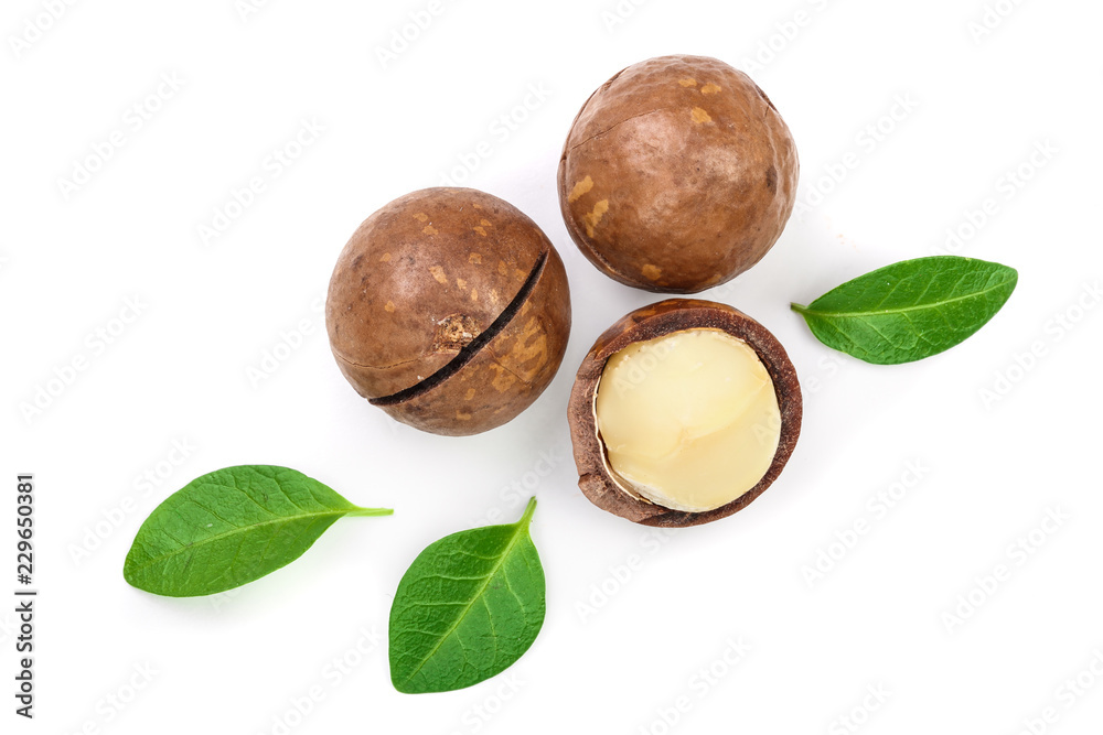 Fototapeta premium Shelled and unshelled macadamia nuts with leaves isolated on white background with copy space for your text. Top view. Flat lay pattern