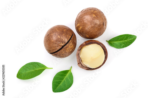 Shelled and unshelled macadamia nuts with leaves isolated on white background with copy space for your text. Top view. Flat lay pattern
