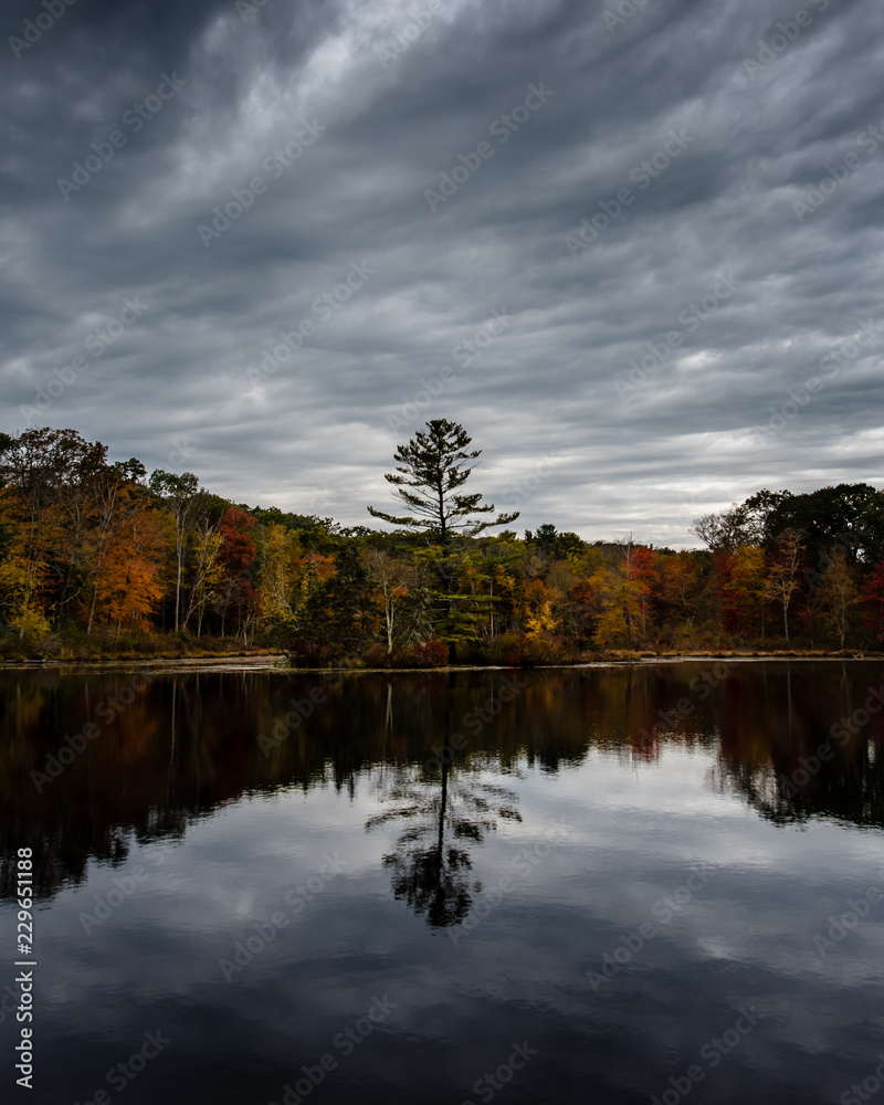 reflection of autumn trees in the water