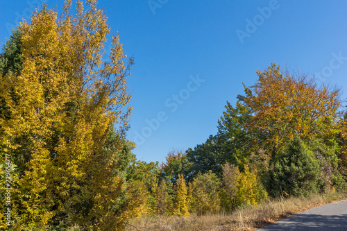 Autumn landscape of Ruen Mountain - northern part of Vlahina Mountain, Kyustendil Region, Bulgaria