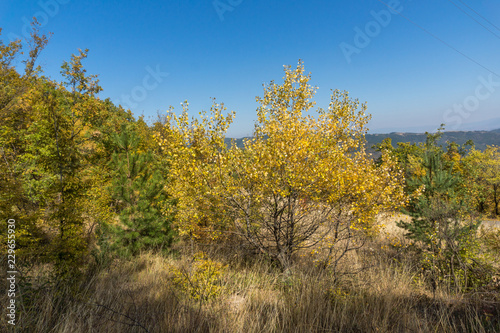 Autumn landscape of Ruen Mountain - northern part of Vlahina Mountain, Kyustendil Region, Bulgaria © Stoyan Haytov