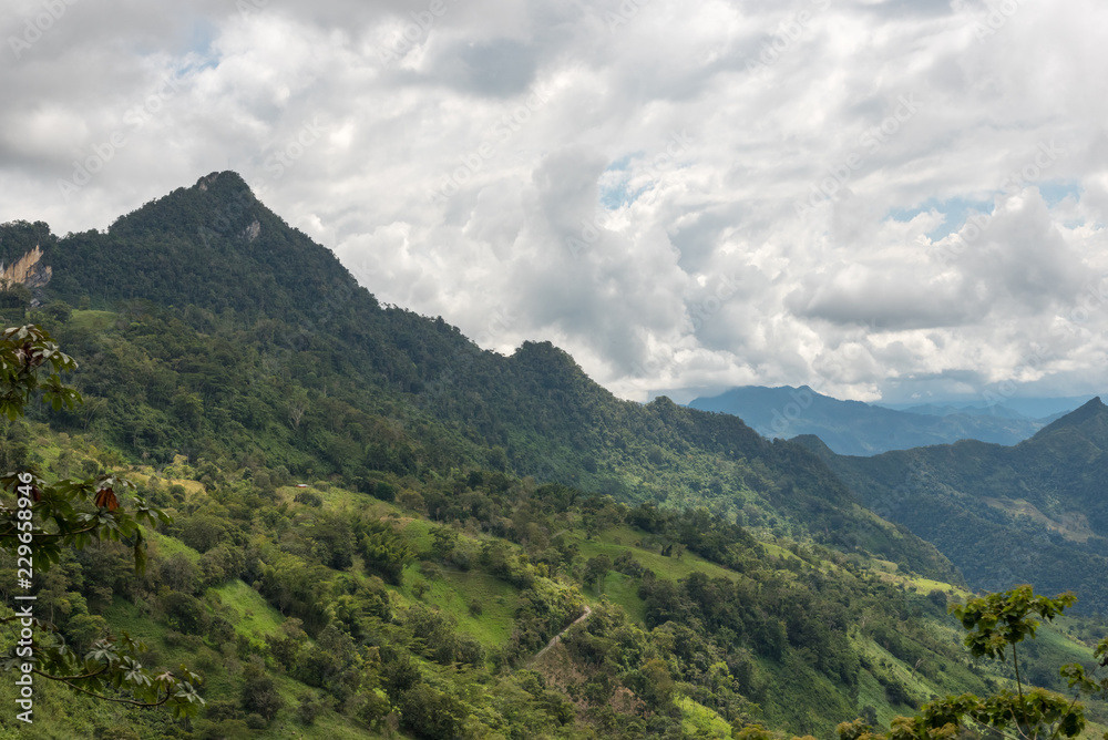 Environmental landscape with mountains full of trees. Colombia