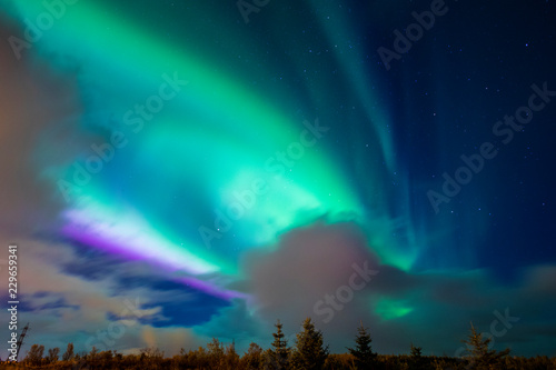 Aurora Borealis Northern Lights in Iceland