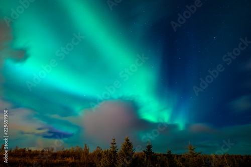 Aurora Borealis Northern Lights in Iceland © chrisdorney