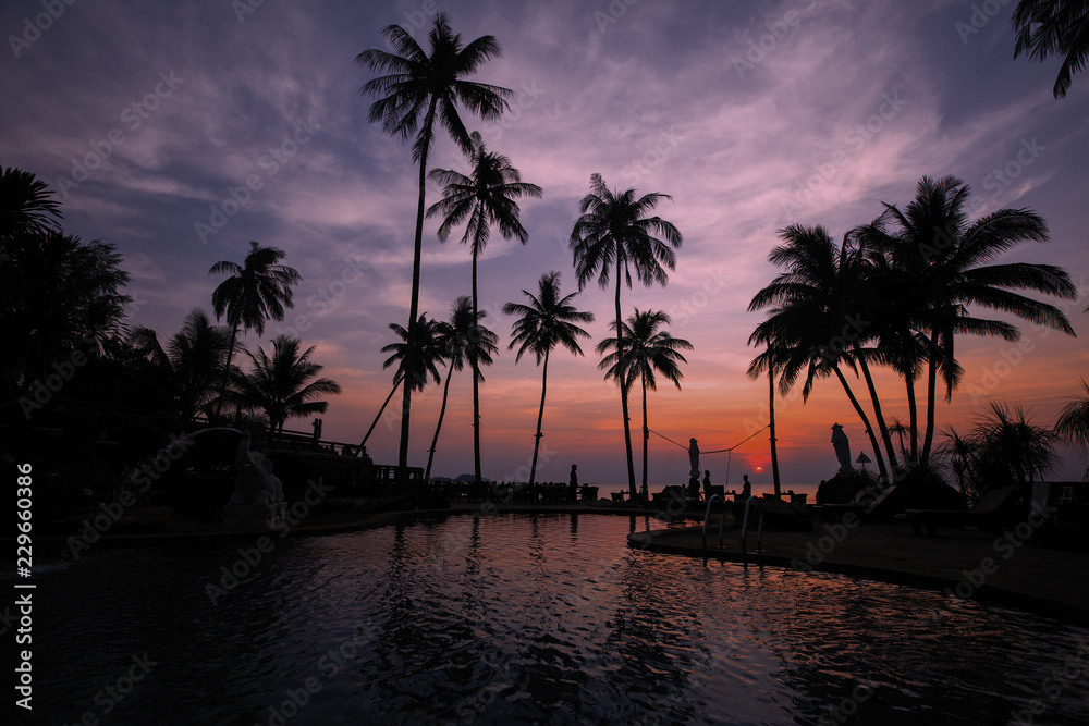 Amazing twilight on the sea beach in subtropics with palm silhouettes.