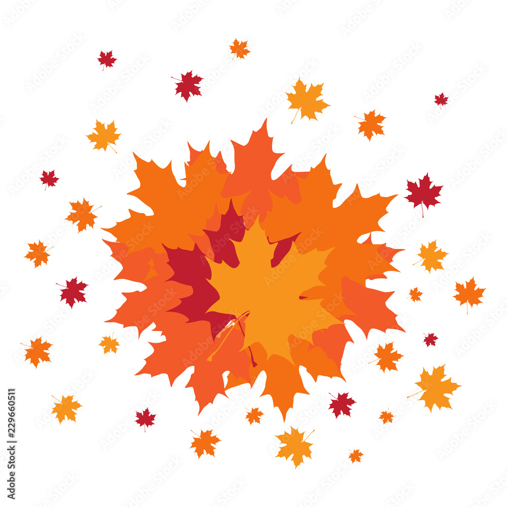 Group of autumn leaves. Vector illustration design