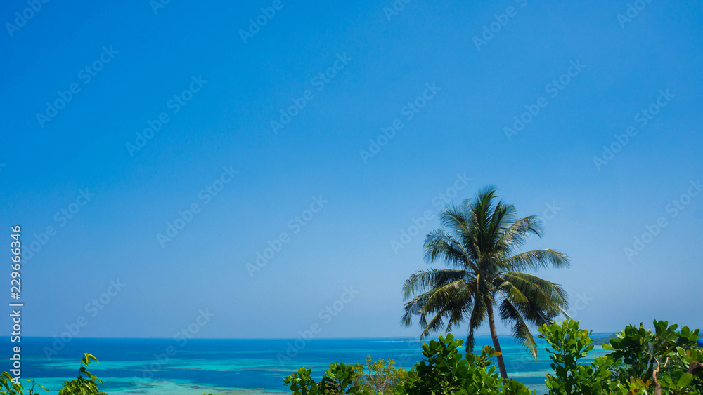 a palm tree with blue sea as background view from mountain love