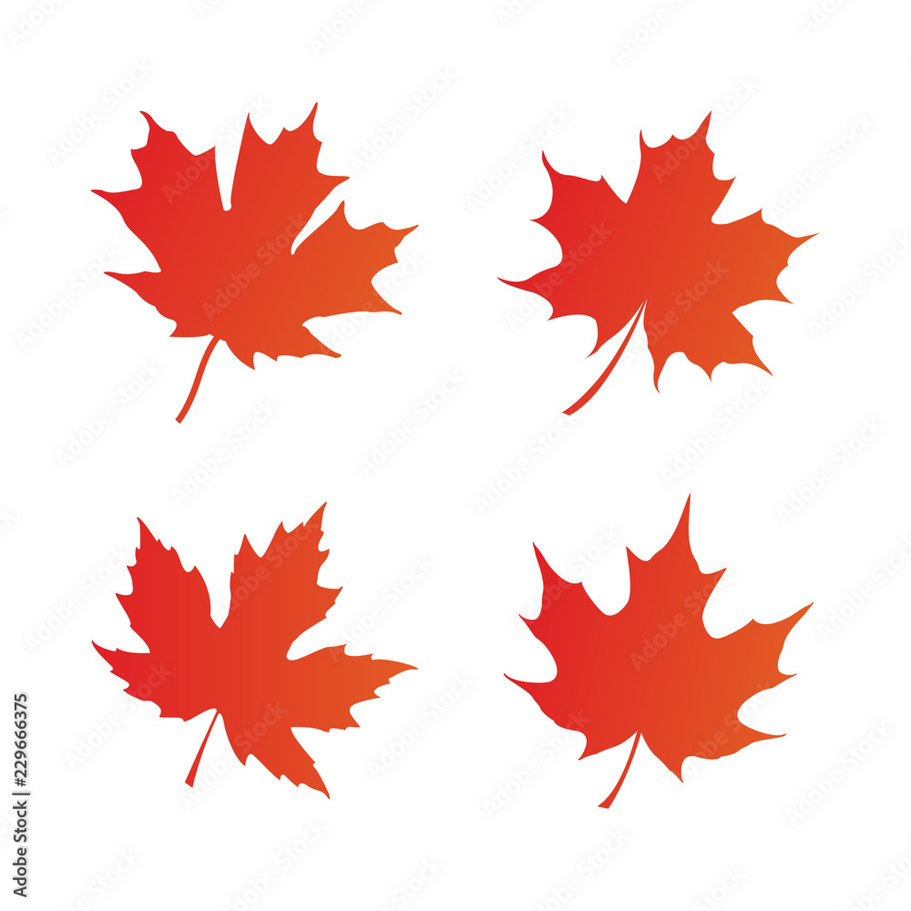 maple leaf logo icon design template vector maple leaf logo icon design template vector