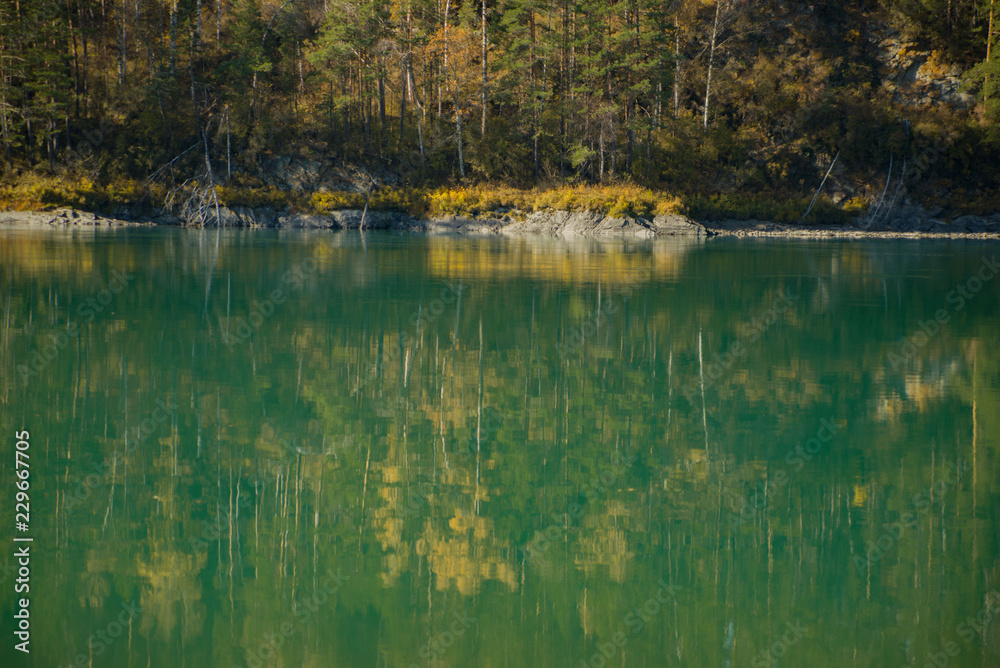 Fototapeta premium Golden autumn