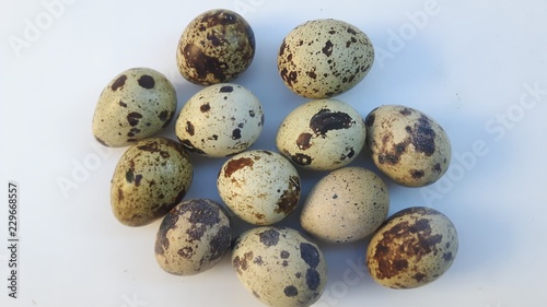 oeufs de caille sur fond blanc