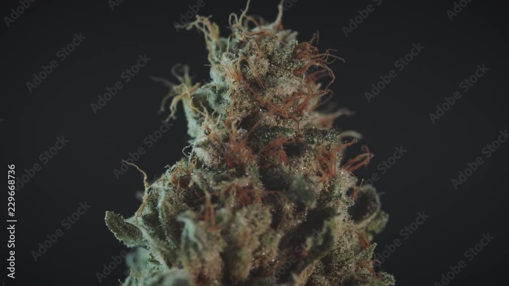 Stylized Marijuana Bud Spinning Close Up Stylized Marijuana Bud Spinning Close Up