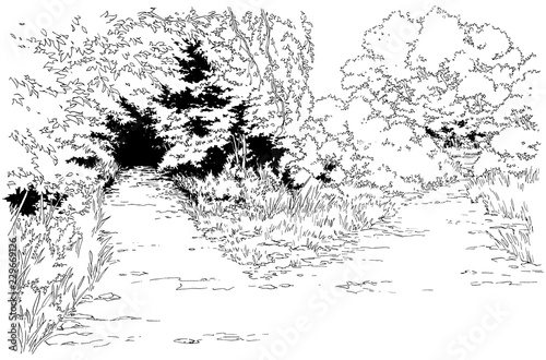 漫画風ペン画イラスト 森 Stock Illustration Adobe Stock 漫画風ペン画イラスト 森 Stock Illustration Adobe Stock