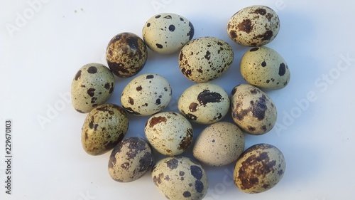 oeufs de caille sur fond blanc