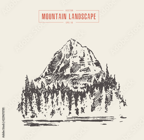 Vector of a mountain peak pine forest lake drawn