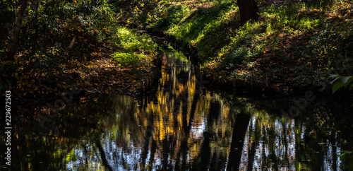 Bach imWald in der Herbstzeit