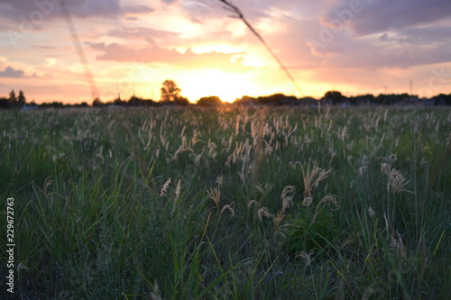 Fotografie Puesta del sol