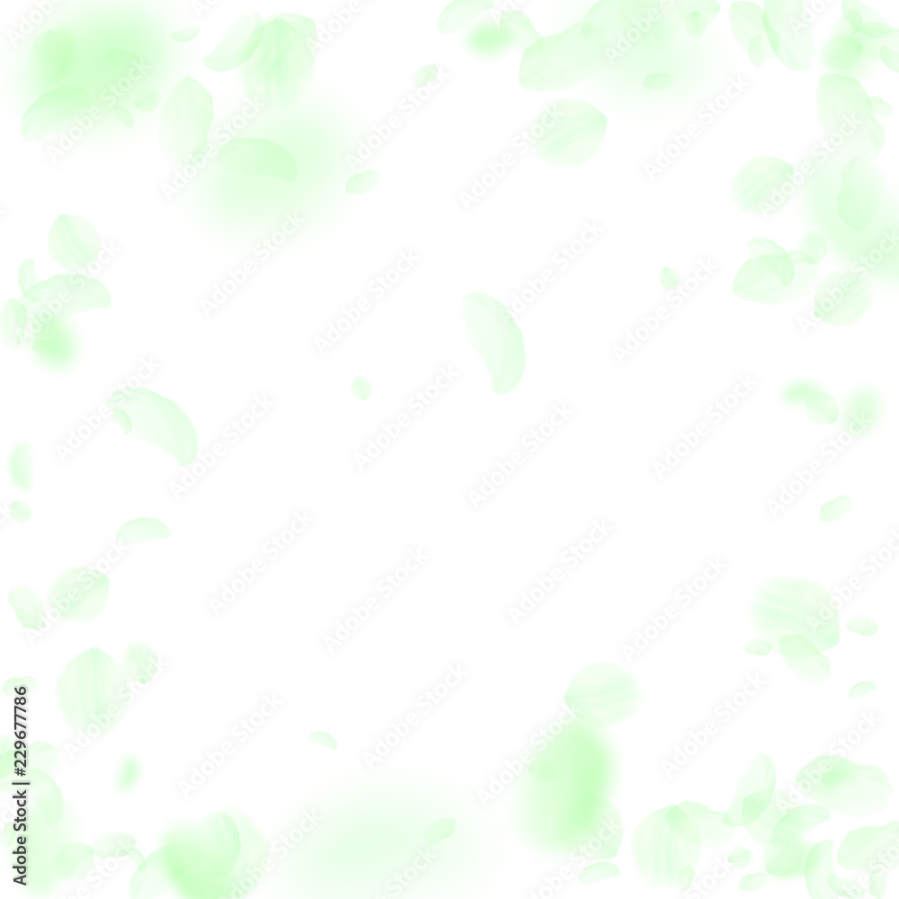 Green flower petals falling down. Symmetrical roma Green flower petals falling down. Symmetrical roma
