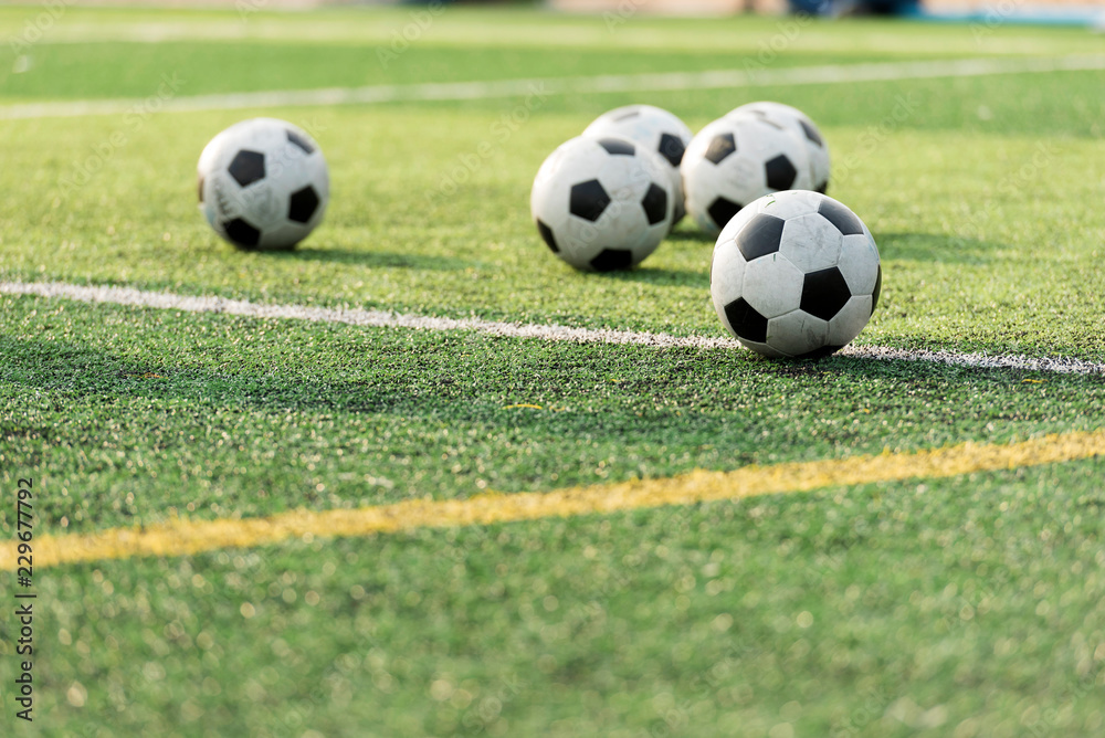 Training Ball in green soccer field Training Ball in green soccer field