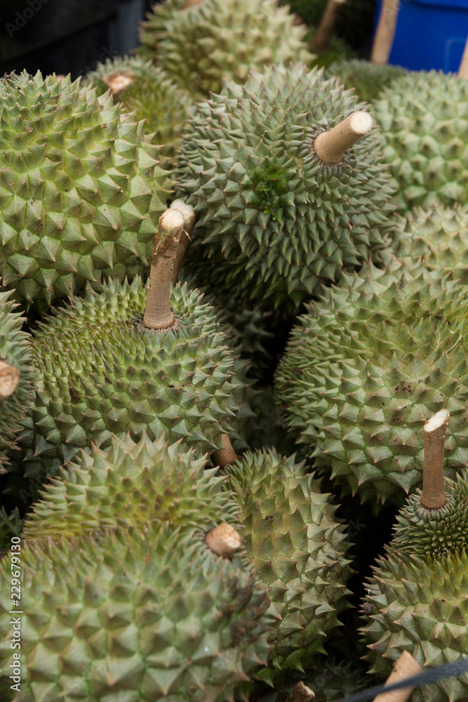 Close up of Fresh durians in the basket Close up of Fresh durians in the basket
