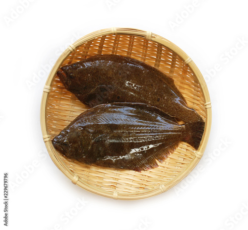 Obraz na płótnie ヒラメ