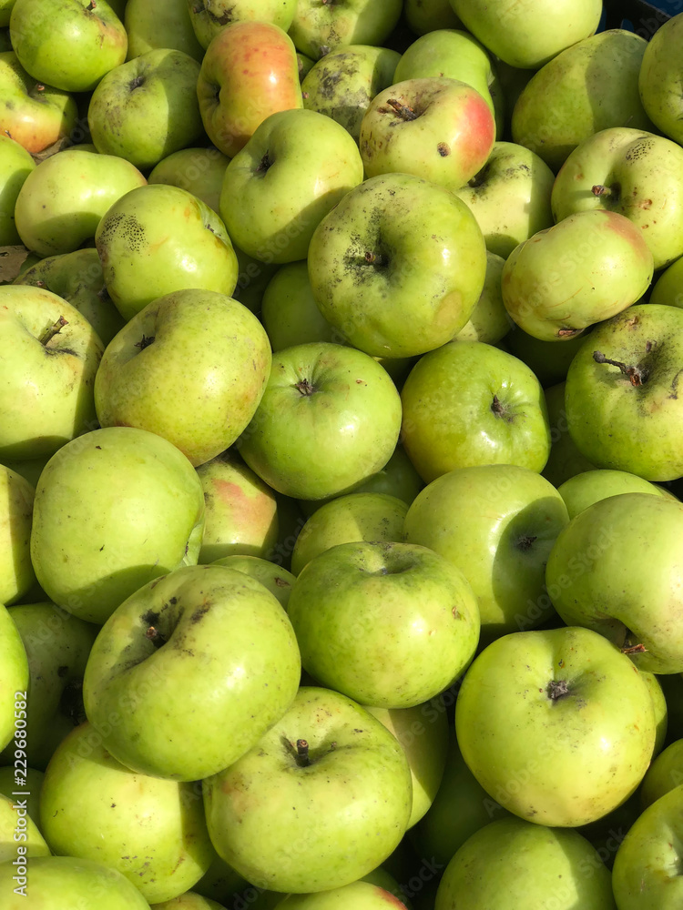 Green apples in the sunlight