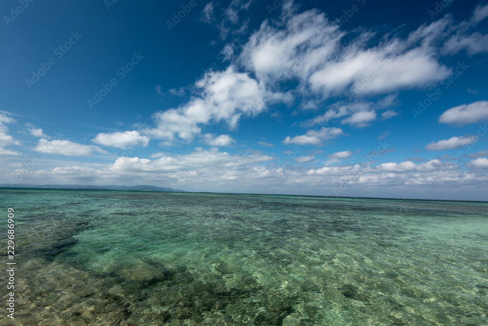 Obraz premium 竹富島の海