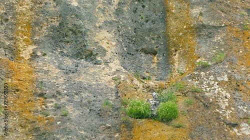 In the ledge on the rock there is a nest with birds.