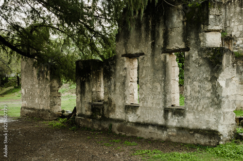 old and worn ruins, abandoned building surrounded by lots of vegetation and trees