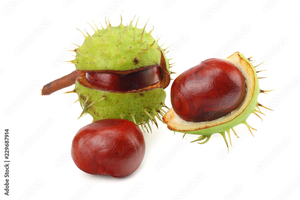 chestnuts isolated on white background. Healthy background. chestnuts isolated on white background. Healthy background.