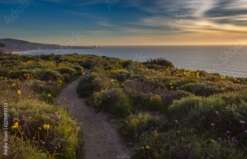 sunset on coast, San Diego, California