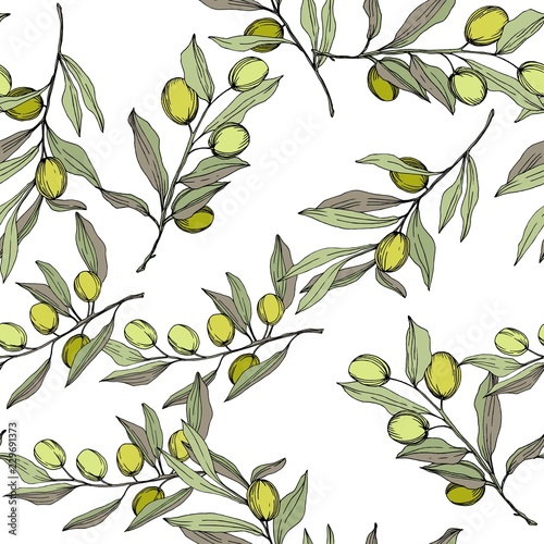 Olive tree in a vector style isolated. Green engraved ink art. Seamless background pattern. Fabric wallpaper print texture. Vector olive tree for background, texture, wrapper pattern, frame or border.