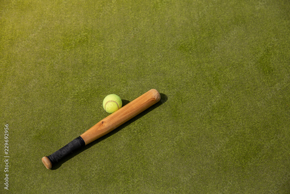 Εκτύπωση καμβά Rounders, baseball, cricket bat and ball